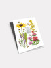 Thank Goodness | Birthday Greeting Card | Sugarhouse Greetings