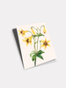 Yellow Lily - 4.5 x 6.25 Card