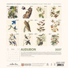 AUDUBON BIRDS 12 x 12 ARTWELL CALENDAR