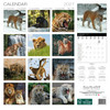 BIG WILD CATS 12 x 12 ALLALUNA CALENDAR