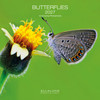 BUTTERFLIES 12 x 12 ALLALUNA CALENDAR
