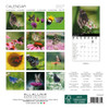 BUTTERFLIES 7 x 7 ALLALUNA CALENDAR