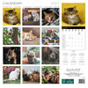 CATS 12 x 12 ALLALUNA CALENDAR