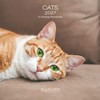 CATS 7 x 7 ALLALUNA CALENDAR