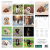 DOGS 12 x 12 ALLALUNA CALENDAR