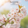 FLOWERS 7 x 7 ALLALUNA CALENDAR