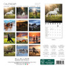 HORSES 7 x 7 ALLALUNA CALENDAR