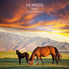 HORSES 7 x 7 ALLALUNA CALENDAR
