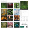 MAGIC TREES 12 x 12 ALLALUNA CALENDAR