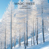 MAGIC TREES 7 x 7 ALLALUNA CALENDAR