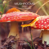 MUSHROOMS 7 x 7 ALLALUNA CALENDAR