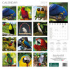 PARROTS 12 x 12 ALLALUNA CALENDAR