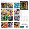 PETS 12 x 12 ALLALUNA CALENDAR