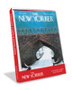 Tracks In Central Park Snow | New Yorker Christmas Cover Card