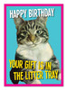 Birthday Litter | Birthday Greeting Card | Kiss Me Kwik
