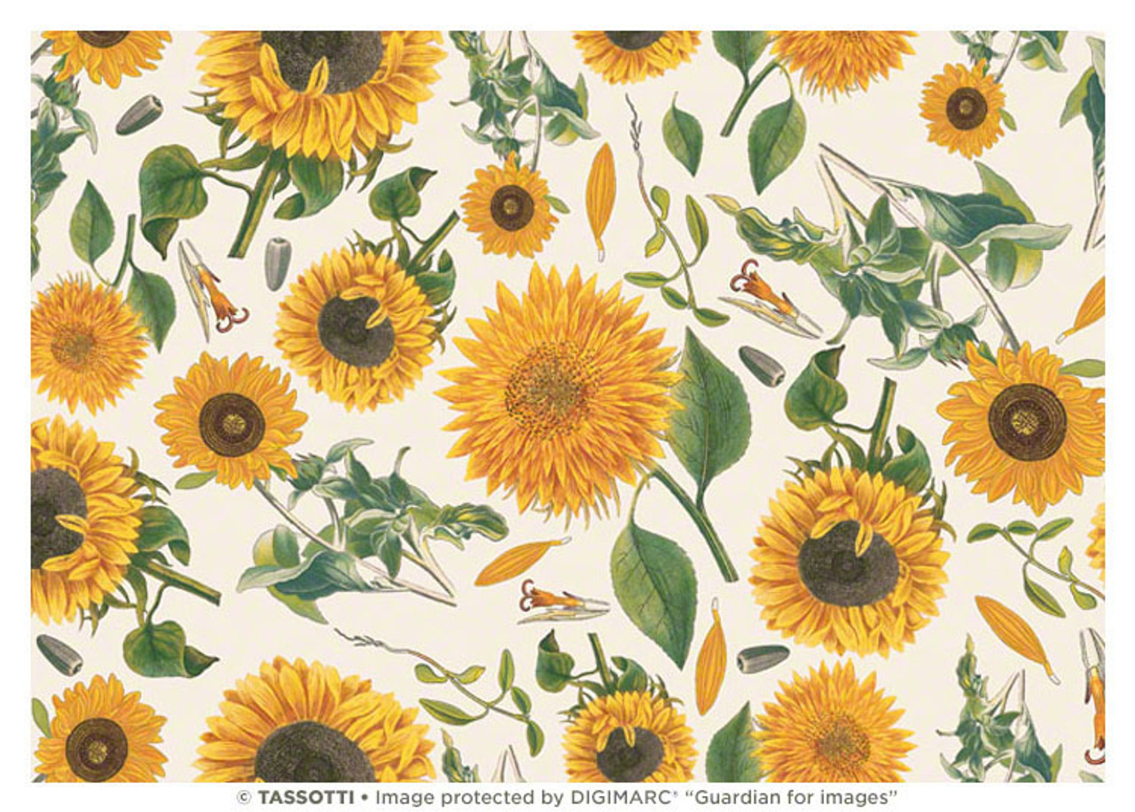 Sunflower ページ SeedsUP - 15+ Sunflower - Flower Red : Amazon.ca: Patio