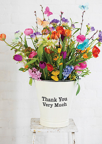 Greeting Cards - Thank You - Page 1 - Nelson Line