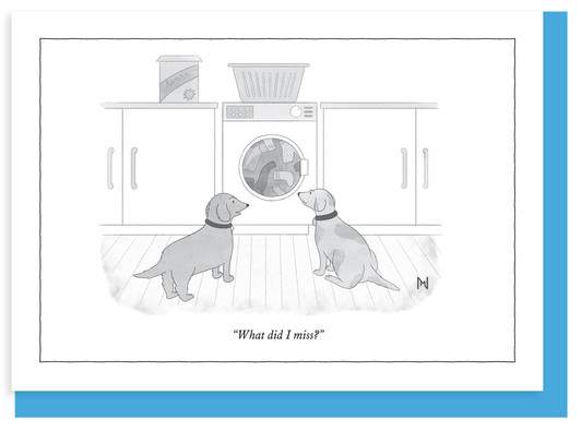 WHAT DID I MISS? - 5 x 7 NEW YORKER CARD