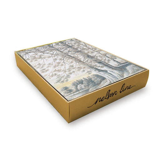 A Study Of Beech Trees - 12 Cds/Env Museum Christmas Bx | Christmas & Holiday Greeting Card | Nelson Line Studio