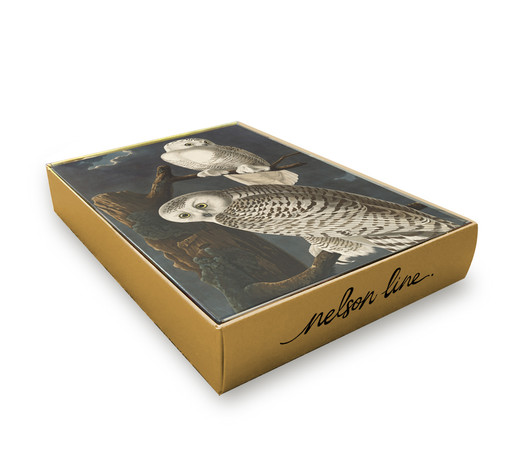 Snowy Owl - 12 Cds/Env Museum Christmas Bx | Christmas & Holiday Greeting Card | Nelson Line Studio