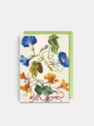 Morning Glory | General Greeting Card | Artwell