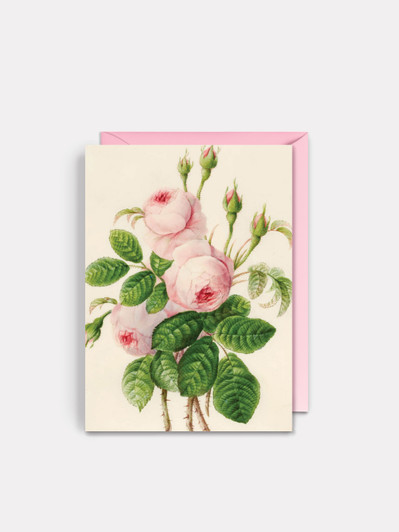 Pink Rose | General Greeting Card | Artwell