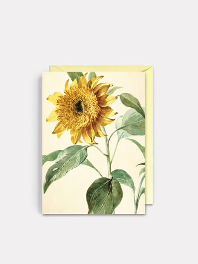 Sunflowers - 4.5 x 6.25 Card
