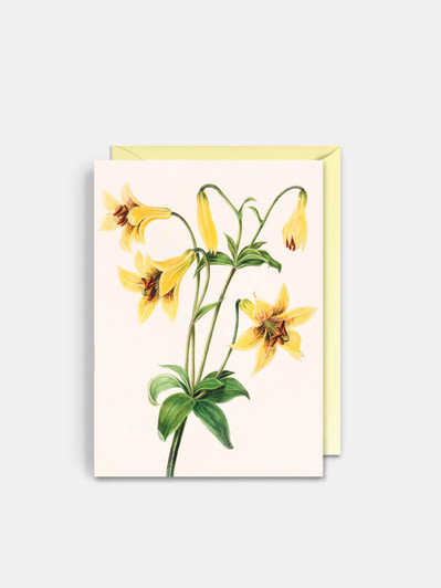 Yellow Lily | General Greeting Card | Artwell