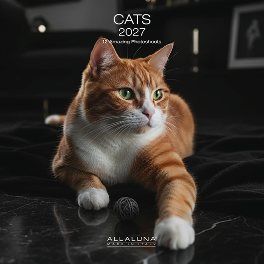 CATS 12 x 12 ALLALUNA CALENDAR