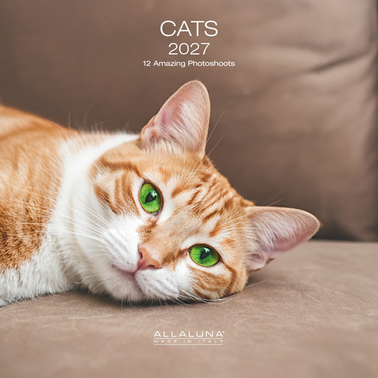 CATS 7 x 7 ALLALUNA CALENDAR