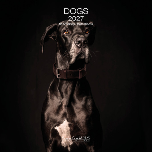 DOGS 12 x 12 ALLALUNA CALENDAR