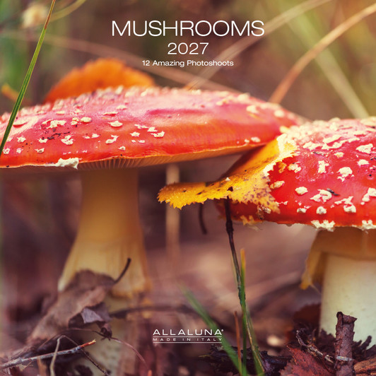 MUSHROOMS 7 x 7 ALLALUNA CALENDAR