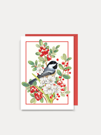 Red Berry Bird - 4.5 x 6.25 Christmas Card