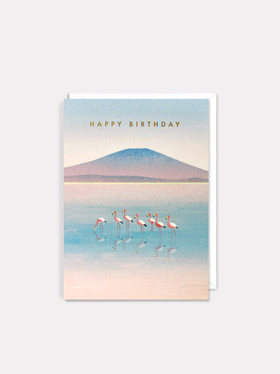 Birthday Flamingos | Birthday Card | James Ellis