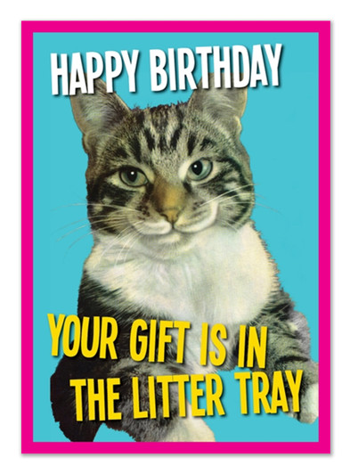 Birthday Litter | Birthday Greeting Card | Kiss Me Kwik