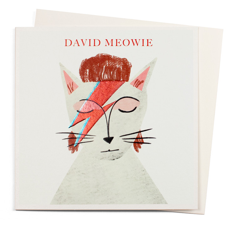 NIA202 - DAVID MEOWIE