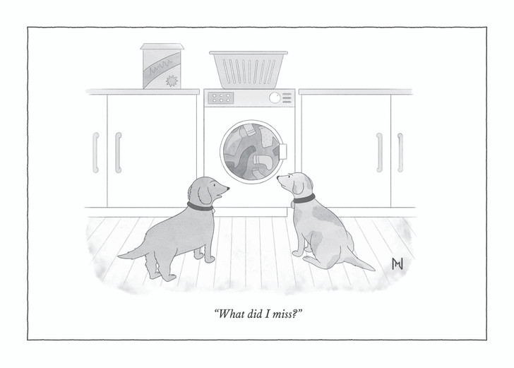 What Did I Miss? | New Yorker Card