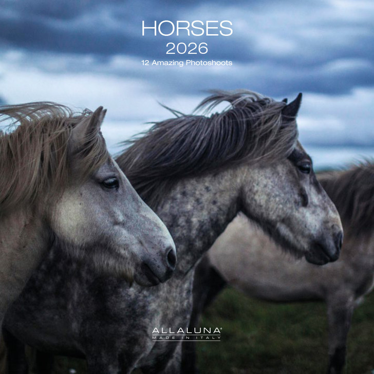 HORSES - 7 x 7 SMALL WALL CALENDAR