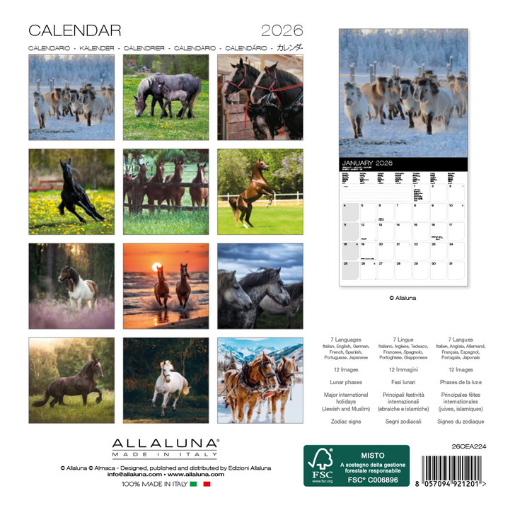 HORSES - 7 x 7 SMALL WALL CALENDAR