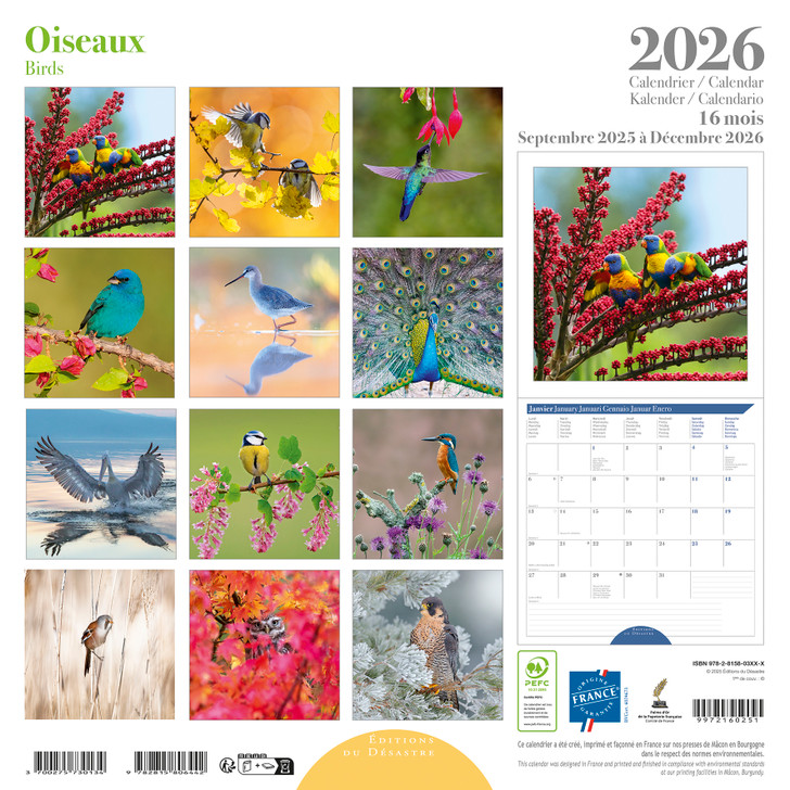 OISEAUX / BIRDS - 12 x 12 WALL CALENDAR