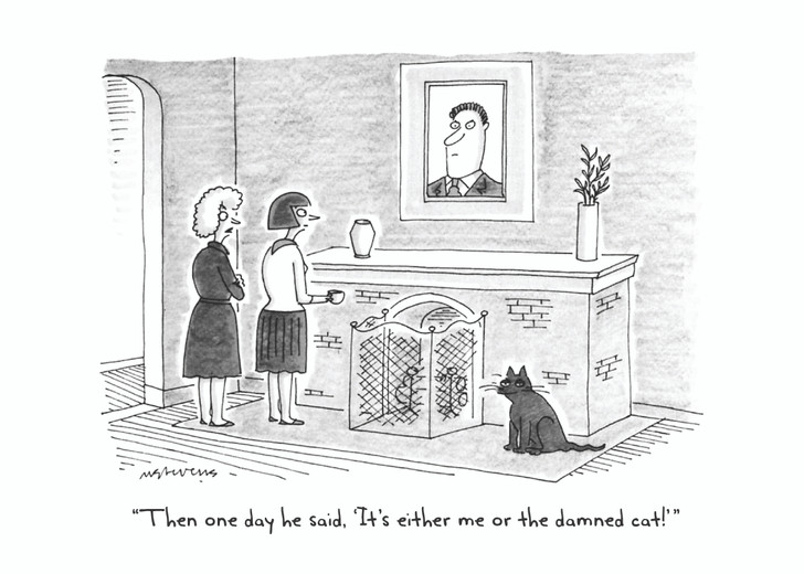 Damn Cat - Cartoon Collection | Cat Greeting Card | Nelson Line Studio
