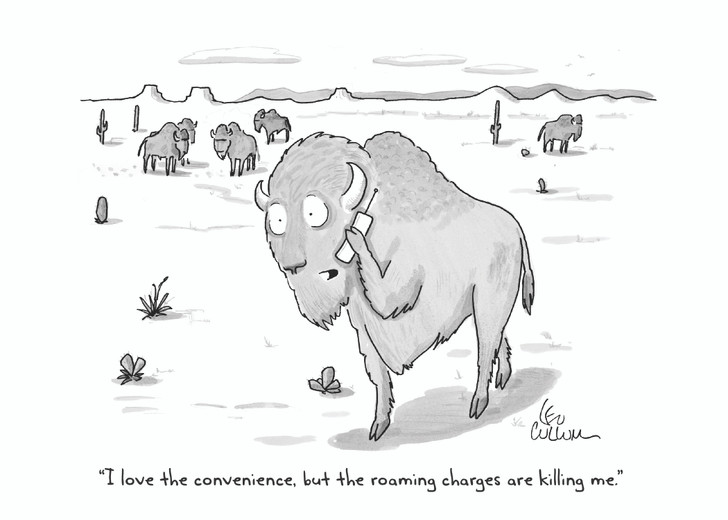 Roaming Charges - Cartoon Collection | Animal Greeting Card | Nelson Line Studio