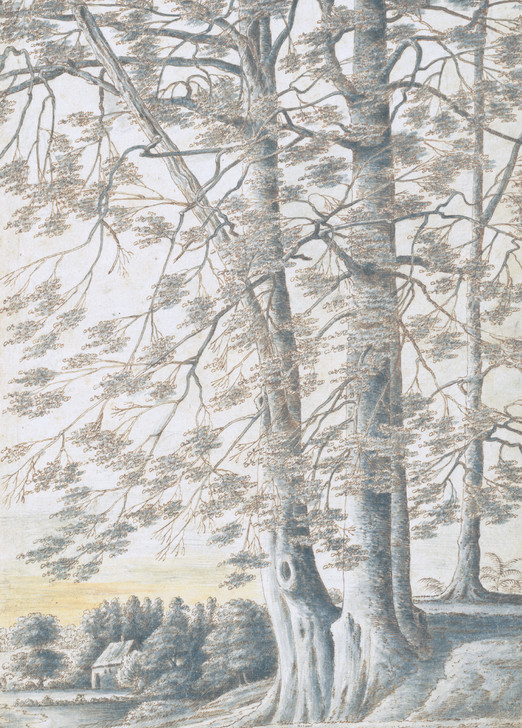 A Study Of Beech Trees - 12 Cds/Env Museum Christmas Bx | Christmas & Holiday Greeting Card | Nelson Line Studio