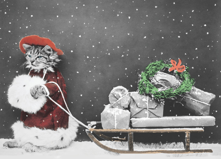 Christmas Kitty - Vintage - Christmas Box Of 12 Cds/Env | Cat Greeting Card | Nelson Line Studio