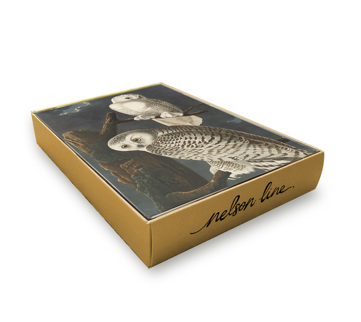Snowy Owl - 12 Cds/Env Museum Christmas Bx | Christmas & Holiday Greeting Card | Nelson Line Studio