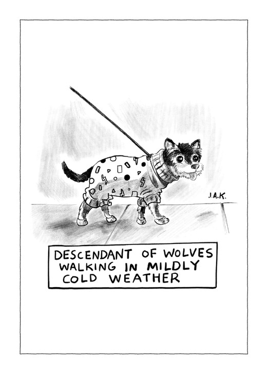 Descendant Of Wolves | New Yorker Card