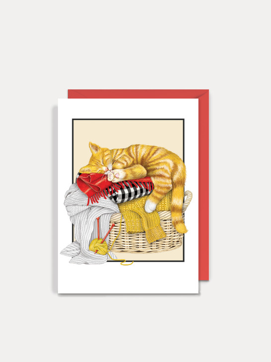 Cat Laundry - 4.5 x 6.25 Birthday Card