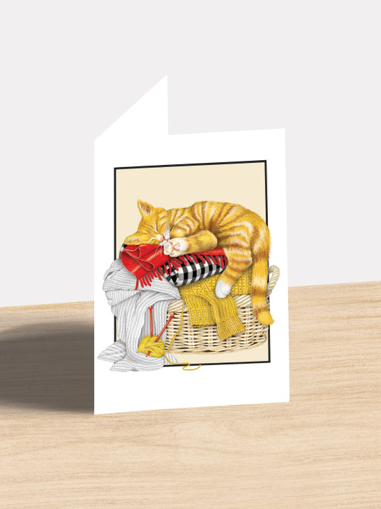 Cat Laundry - 4.5 x 6.25 Birthday Card
