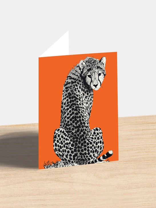 Cheetah - 4.5 x 6.25 Card