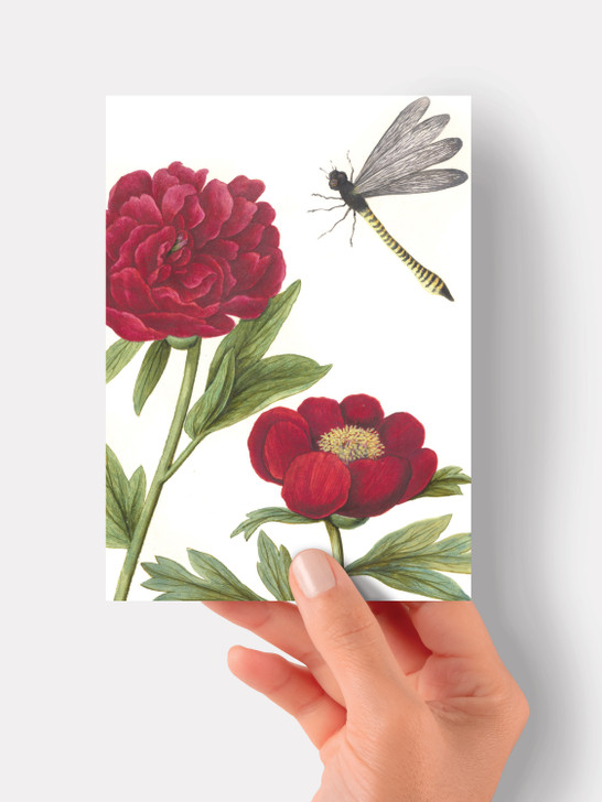 Red Peony - 4.5 x 6.25 Card